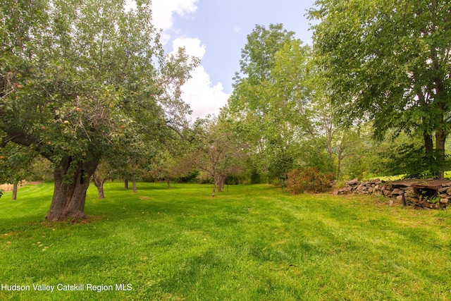 394 Macmore Rd, Roxbury, NY 12474 - view of green lawn