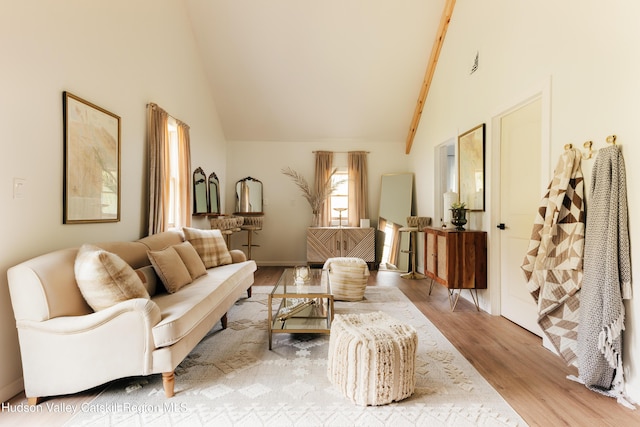 394 Macmore Rd, Roxbury, NY 12474 - living area featuring high vaulted ceiling and light wood-style floors