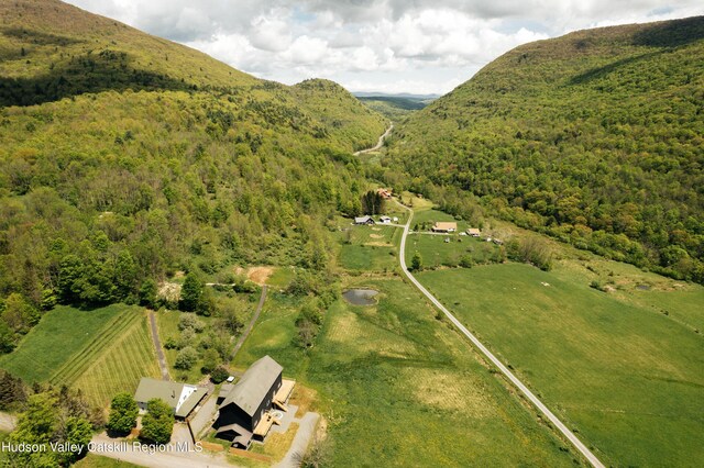 394 Macmore Rd, Roxbury, NY 12474 - aerial view of property and surrounding area with a forest and a mountain backdrop
