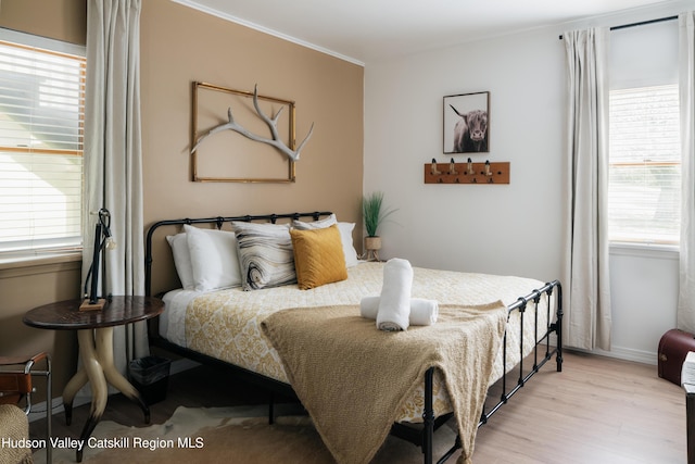 394 Macmore Rd, Roxbury, NY 12474 - bedroom with light wood-type flooring, crown molding, and baseboards