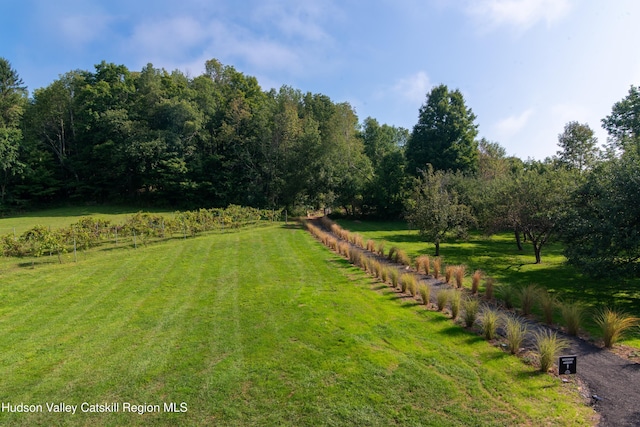 394 Macmore Rd, Roxbury, NY 12474 - view of grassy yard