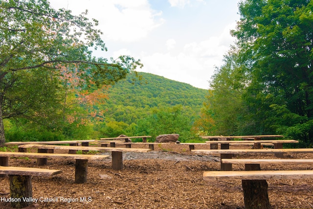 394 Macmore Rd, Roxbury, NY 12474 - view of mountain background with a heavily wooded area