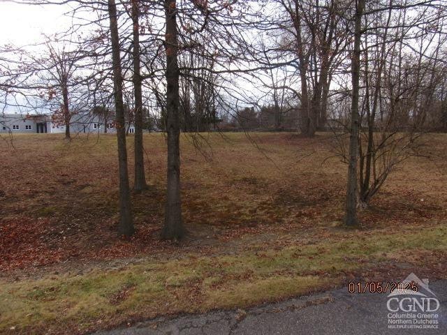 20 Fire House Ln, Red Hook, NY 12571 - photo 1