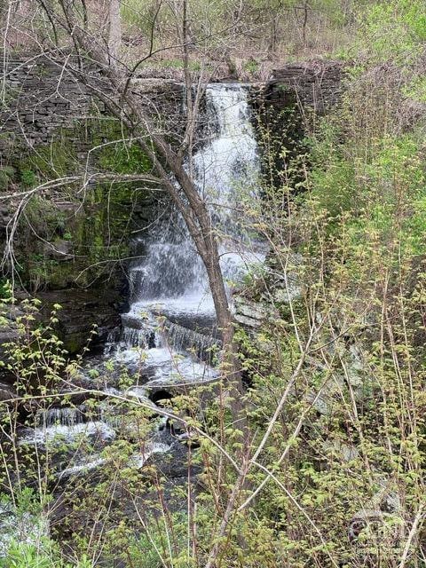 120 Church Rd, Berne, NY 12023 - view of nature