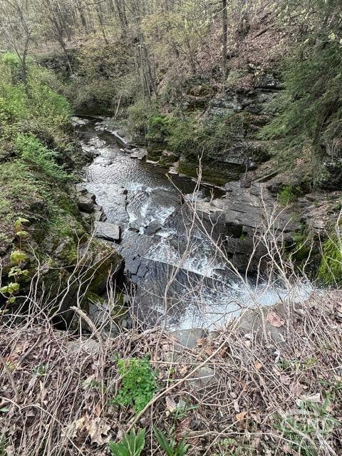 120 Church Rd, Berne, NY 12023 - view of undeveloped land