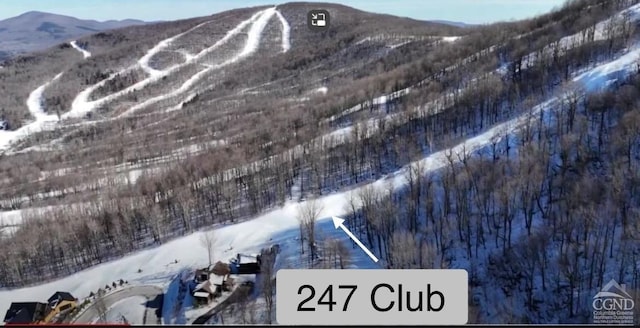 247 Club Rd, Windham, NY 12496 - photo 4