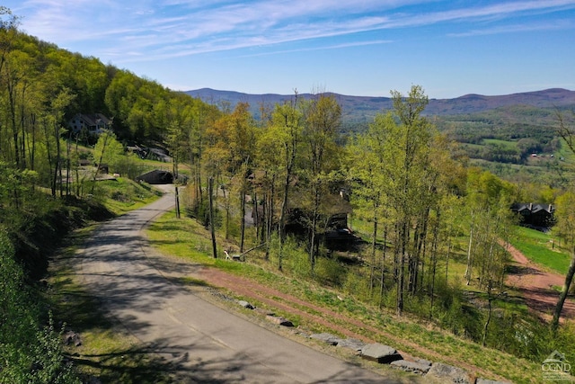 247 Club Rd, Windham, NY 12496 - photo 12
