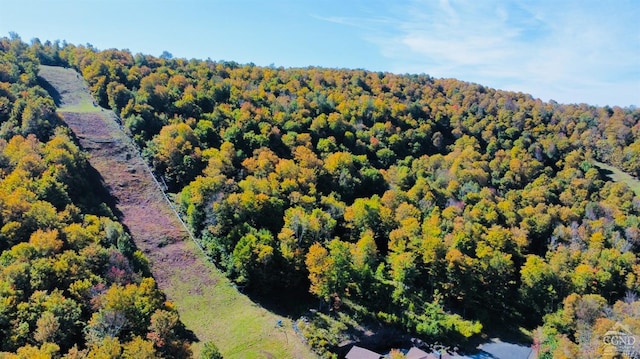 247 Club Rd, Windham, NY 12496 - photo 14