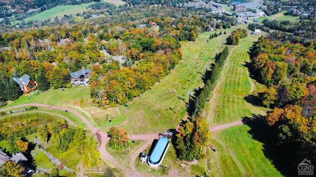 247 Club Rd, Windham, NY 12496 - photo 13