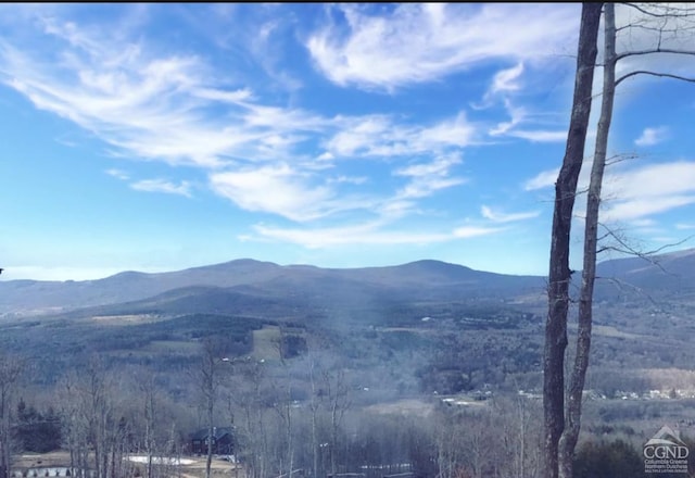 247 Club Rd, Windham, NY 12496 - photo 6