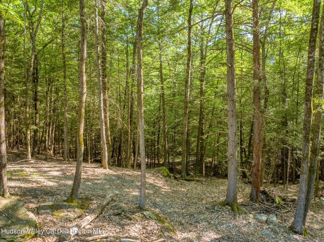 291 Acorn Hill Rd, Olive, NY 12461 - photo 4
