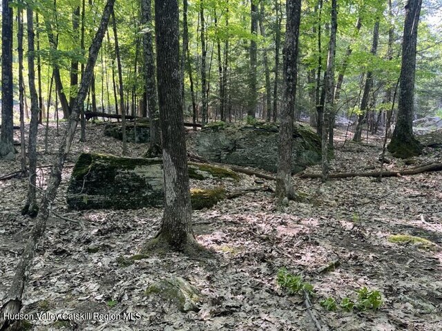 291 Acorn Hill Rd, Olive, NY 12461 - photo 6
