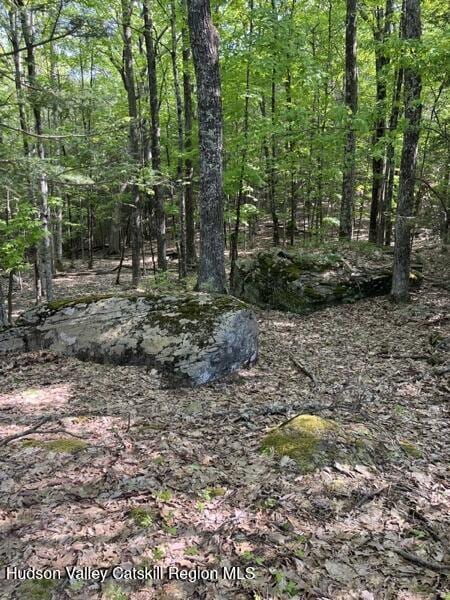 291 Acorn Hill Rd, Olive, NY 12461 - photo 7