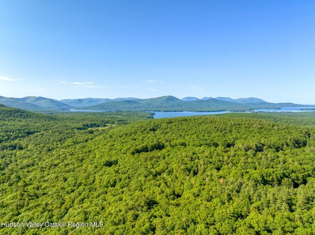 291 Acorn Hill Rd, Olive, NY 12461 - photo 3