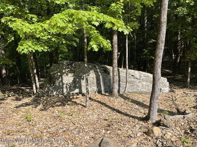 291 Acorn Hill Rd, Olive, NY 12461 - photo 5