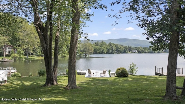 1024 Lakeview Rd, Copake, NY 12516 - water view featuring a mountainous background