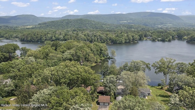 1024 Lakeview Rd, Copake, NY 12516 - drone / aerial view of a water and mountain view and a heavily wooded area