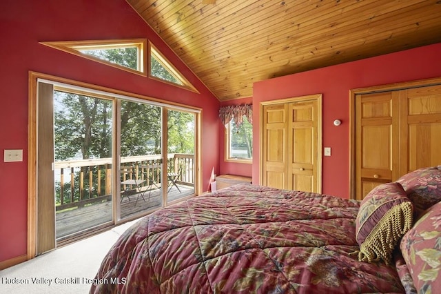 1024 Lakeview Rd, Copake, NY 12516 - bedroom featuring access to exterior, lofted ceiling, wooden ceiling, and carpet