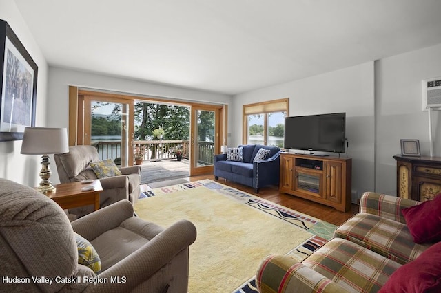 1024 Lakeview Rd, Copake, NY 12516 - living room with wood finished floors