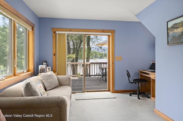 1024 Lakeview Rd, Copake, NY 12516 - home office with baseboards and carpet flooring