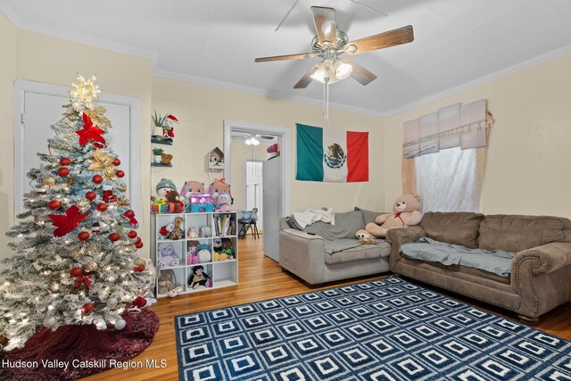 living room featuring hardwood / wood-style flooring, ceiling fan, and ornamental molding