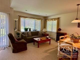 274 Brooksburgh Rd Unit 41, Windham, NY 12496 - living area featuring carpet