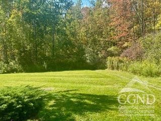 274 Brooksburgh Rd Unit 41, Windham, NY 12496 - view of green lawn featuring a forest view