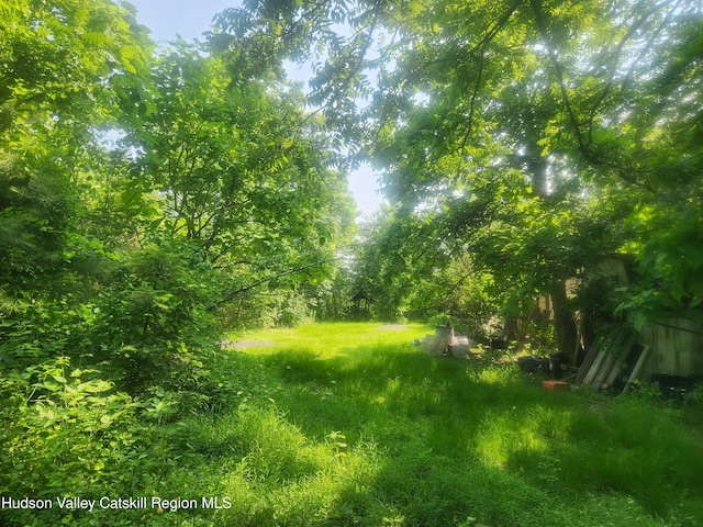 536 N Riverside Rd Rd, Lloyd, NY 12528 - view of undeveloped land