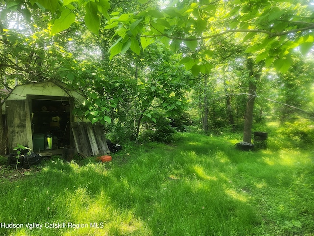 536 N Riverside Rd Rd, Lloyd, NY 12528 - view of yard with a storage shed