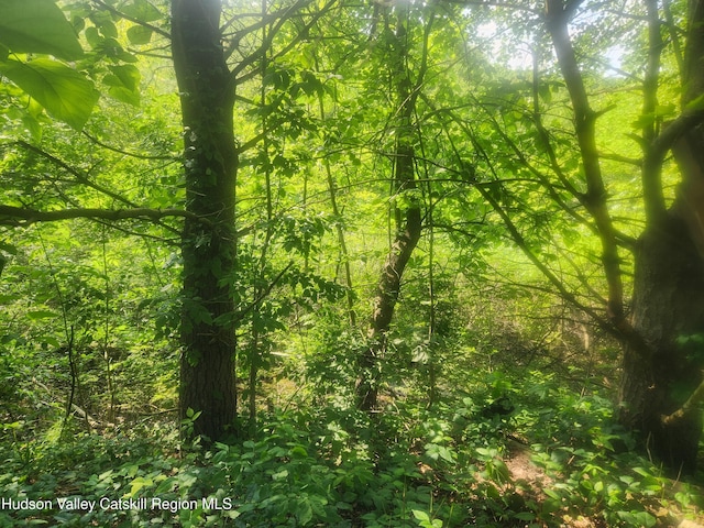 536 N Riverside Rd Rd, Lloyd, NY 12528 - view of wooded area