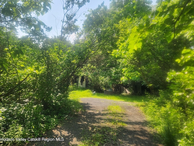 536 N Riverside Rd Rd, Lloyd, NY 12528 - view of road