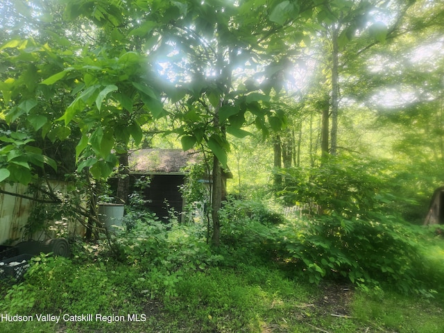 536 N Riverside Rd Rd, Lloyd, NY 12528 - view of nature