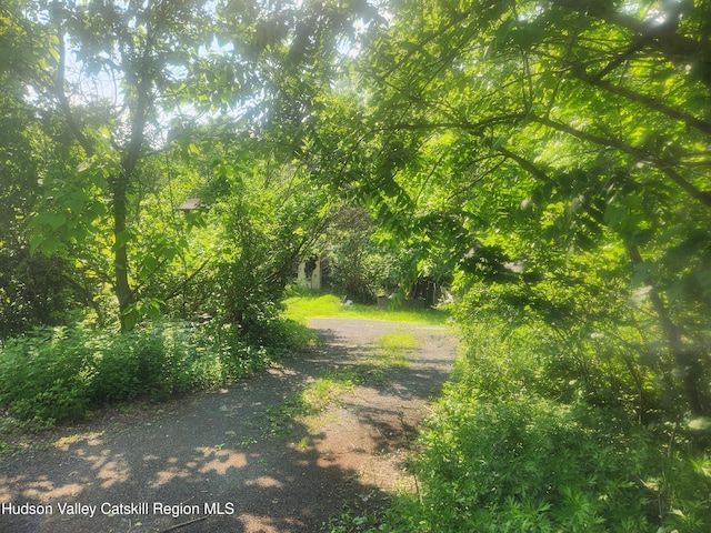 536 N Riverside Rd Rd, Lloyd, NY 12528 - view of nature