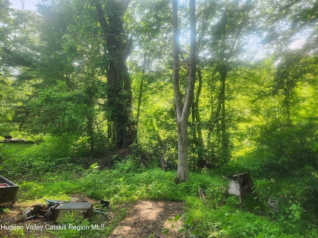 536 N Riverside Rd Rd, Lloyd, NY 12528 - view of wooded area