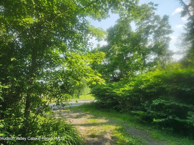 536 N Riverside Rd Rd, Lloyd, NY 12528 - view of yard