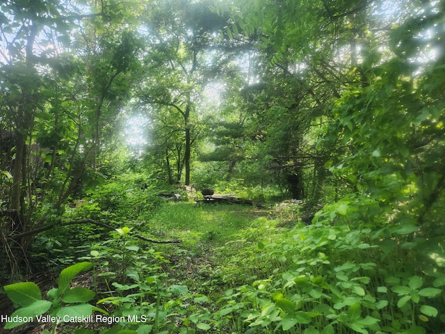 536 N Riverside Rd Rd, Lloyd, NY 12528 - view of local wilderness