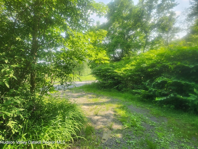 536 N Riverside Rd Rd, Lloyd, NY 12528 - view of yard