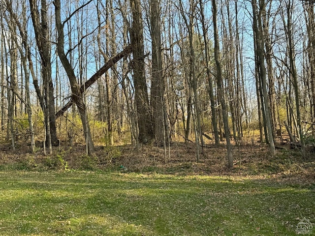 122 Bull Hill Rd, Conesville, NY 12076 - view of nature