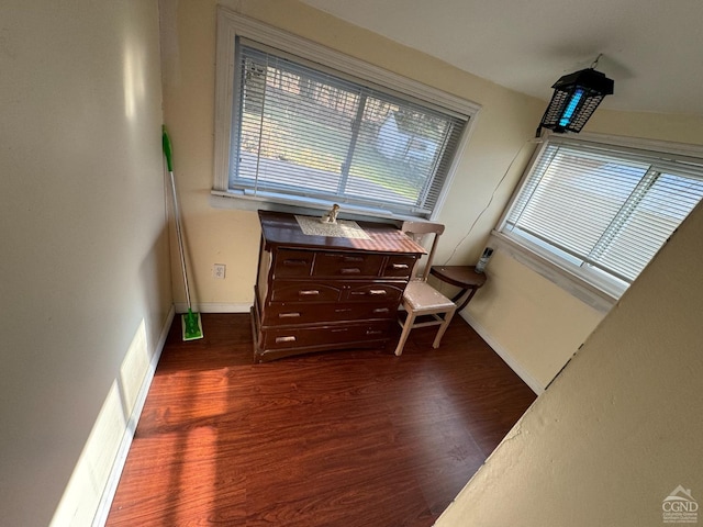 122 Bull Hill Rd, Conesville, NY 12076 - dining room featuring wood finished floors, plenty of natural light, and baseboards
