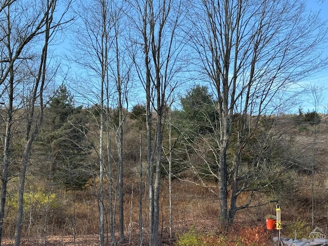 122 Bull Hill Rd, Conesville, NY 12076 - view of woods