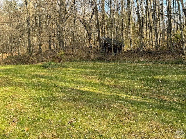 122 Bull Hill Rd, Conesville, NY 12076 - view of green lawn