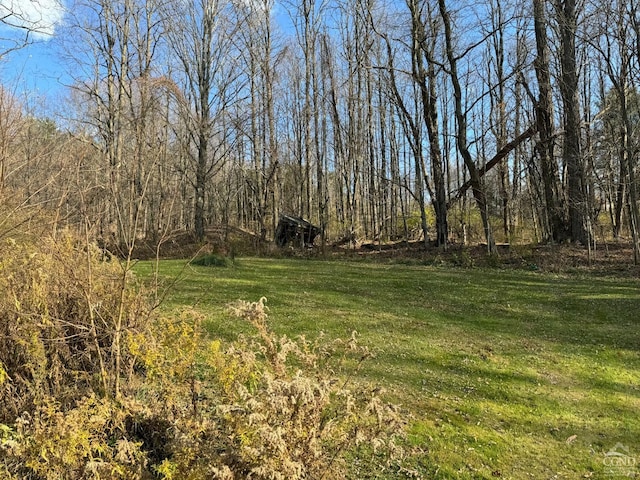 122 Bull Hill Rd, Conesville, NY 12076 - view of green lawn with a forest view
