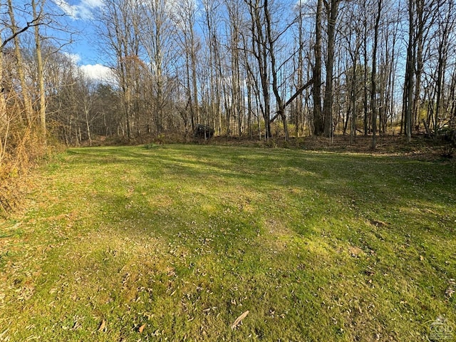 122 Bull Hill Rd, Conesville, NY 12076 - view of grassy yard