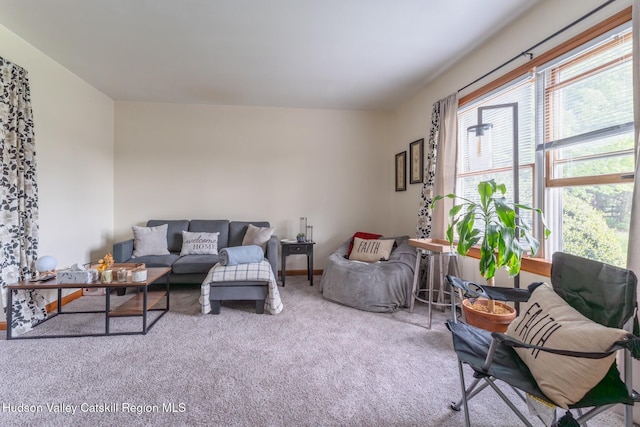 16 Fording Place Rd, Lake Katrine, NY 12449 - view of carpeted living room