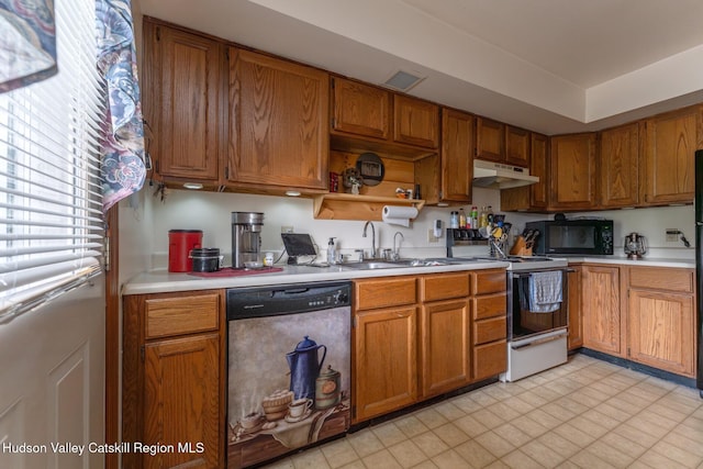 16 Fording Place Rd, Lake Katrine, NY 12449 - kitchen featuring sink, dishwasher, and white electric range