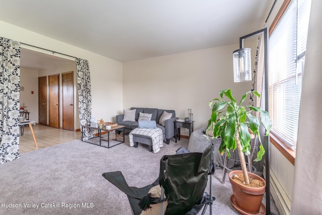 16 Fording Place Rd, Lake Katrine, NY 12449 - view of carpeted living room