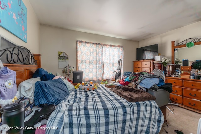 16 Fording Place Rd, Lake Katrine, NY 12449 - bedroom featuring light carpet