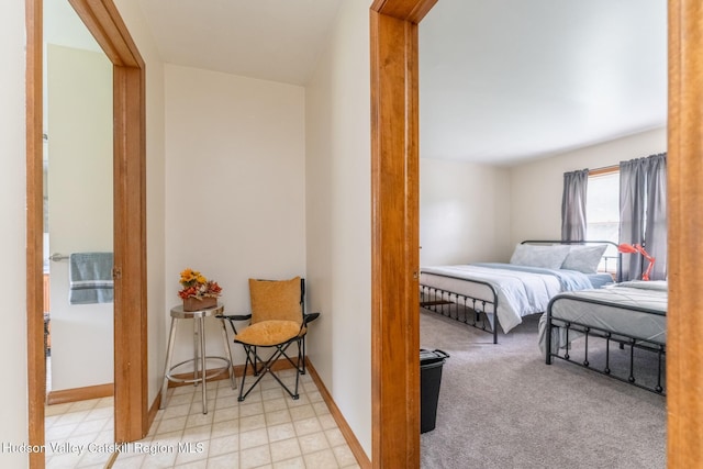 16 Fording Place Rd, Lake Katrine, NY 12449 - view of carpeted bedroom