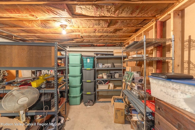 16 Fording Place Rd, Lake Katrine, NY 12449 - view of storage