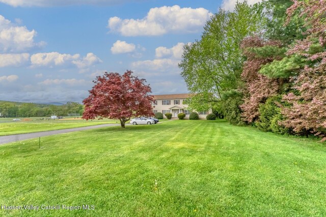 16 Fording Place Rd, Lake Katrine, NY 12449 - view of yard